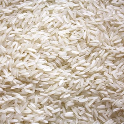 Rice