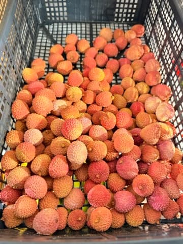 Fresh lychees displayed in a grocery crate